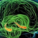 유니드한의원 이미지