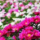 25번가 이미지