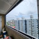 현대샷슈 이미지