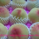 동희농원 이미지