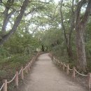 우리나라에서 가장 오래된 인공숲 ~ 함양 상림 (상림공원) 이미지