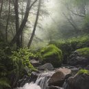 스타일큐브 이미지