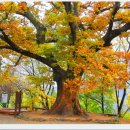 중머리재 이미지