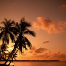 사업장부설 이미지