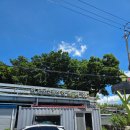 화순전통시장(화순읍전통시장) | 화순맛집추천(내돈내산).#옛날두부.#부덕커피로스터스.