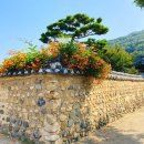 대봉1동 행정복지센터 이미지