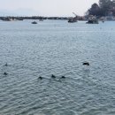 사우스케이프오너스클럽 이미지