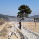 멧돼지 태양광발전소 이미지