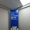 좌천 | 부산씰리 침대 좌천점 꼼꼼하게 따져본 후기