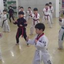 태권박사 체육관 이미지