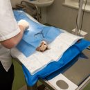 노원백정형외과의원 이미지