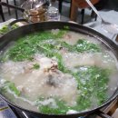 생생회포차 이미지