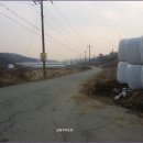 상장1리 이미지