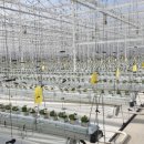 어민농장 이미지