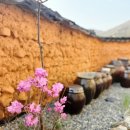 올인원민박 이미지