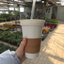 더 건강한 쌀빵 | 부산 기장 | 건강한 쌀빵 베이커리 추천 🥯 | 티라이스 순쌀빵 내돈내산 후기