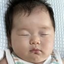 용띠세탁전문점 | 육아일기. 생후 1개월 - 출산휴가, 태열, 스테로이드, 첫 외출