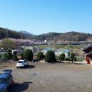 오동선(요골) 이미지