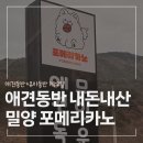 포메리카노 | 밀양 애견동반 독채 펜션 포메리카노 1박2일 내돈내산으로 다녀왔어요