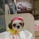 마린시티 종합동물병원 이미지