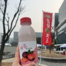 밀양축산업협동조합 | 마곡나루역 강서구 명절맞이 직거래장터 후기 (자매결연지, 임실치즈)