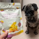 이리온 동물메디컬센터 이미지