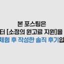 강남고양이분양 나비캣 이미지