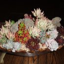 혹불이 영감 이미지