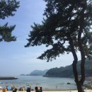 여수여행