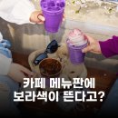 에스케이 파이넨셜 | 카페 점령한 보라 디저트, 우베 열풍의 정체와 솔직 후기