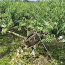 천은농장 이미지