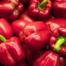 엑스원 휘트니스 이미지