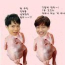 컨츄리꼬꼬 이미지