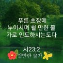 푸른초장 이미지