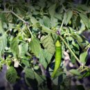 시원농장 이미지