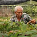 하나로산업 이미지