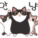 우미세탁소 이미지