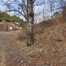 검암산(중간) 이미지