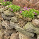 원평여관 | 신안 도초도 비금도 섬여행 가볼만한곳 1박2일여행코스추천 명사십리해변 내촌리돌담 하트해변