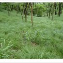 동고마을 이미지