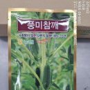 (비소식은 연일 로또) 고추 첫수확.다분지 참깨 방제약 살포 이미지