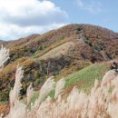 장수공용버스터미널 이미지