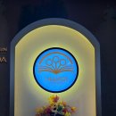 더 하노이 이미지