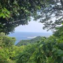 늘푸른 민박 이미지