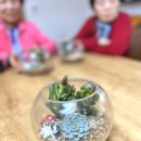 주진경로당 네이버블로그
