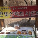 김정순 Daum카페