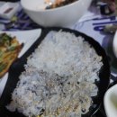 국제애견 이미지