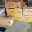 대한사회복지원 이미지