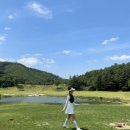 강원도 횡성 청정자연 골프장 6월 옥스필드cc 이용후기