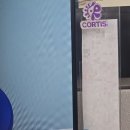 그린볼 | 오크베리X코르티스 | 그린그린볼 후기